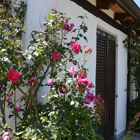 Appartamento Aurelia *