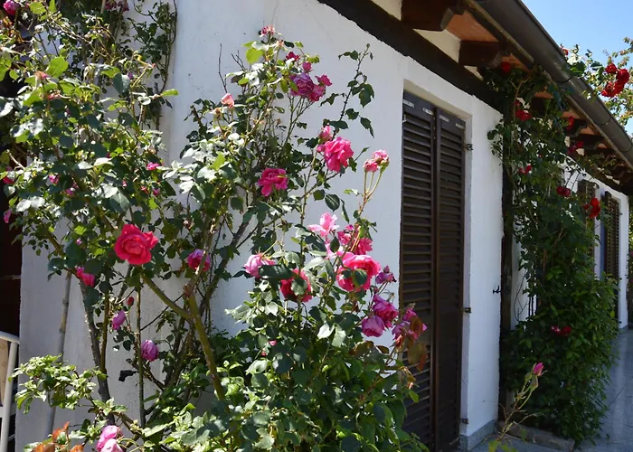 Apartamento Aurelia *